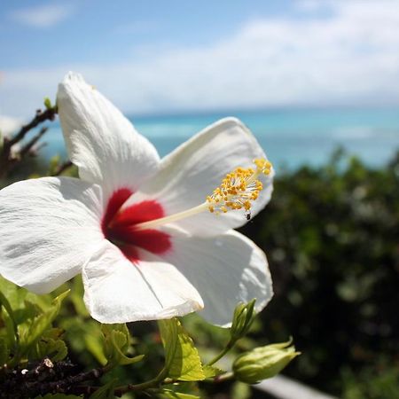 Surf Side Beach Club Mount Pleasant Eksteriør bilde